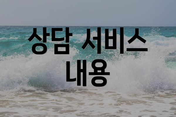 상담 서비스 내용