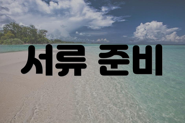 서류 준비