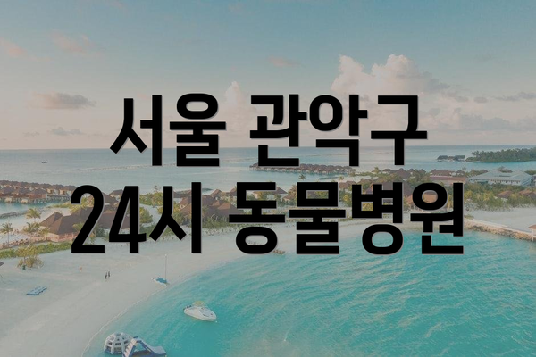 서울 관악구 24시 동물병원