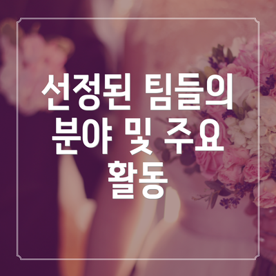 선정된 팀들의 분야 및 주요 활동