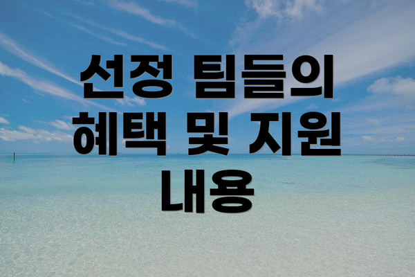 선정 팀들의 혜택 및 지원 내용