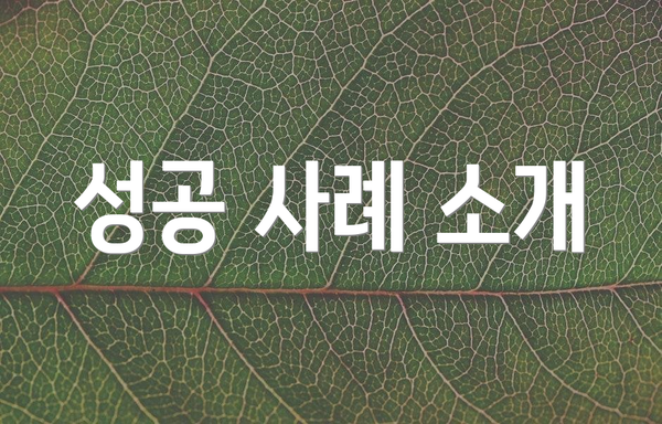 성공 사례 소개