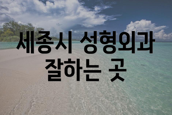 세종시 성형외과 잘하는 곳