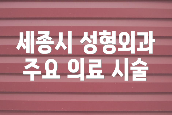 세종시 성형외과 주요 의료 시술