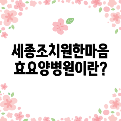 세종조치원한마음효요양병원이란?