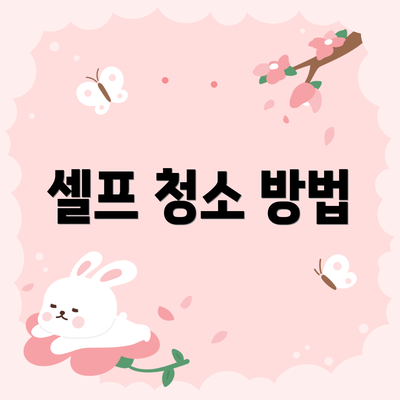 셀프 청소 방법