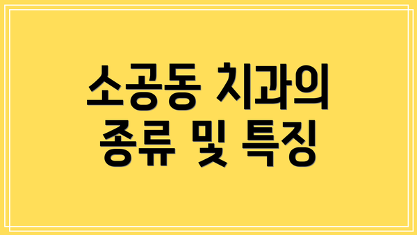 소공동 치과의 종류 및 특징