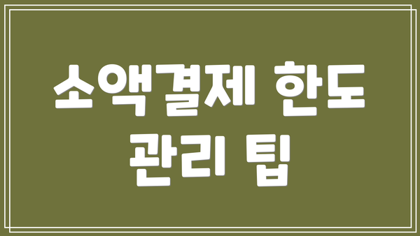 소액결제 한도 관리 팁