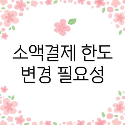 소액결제 한도 변경 필요성