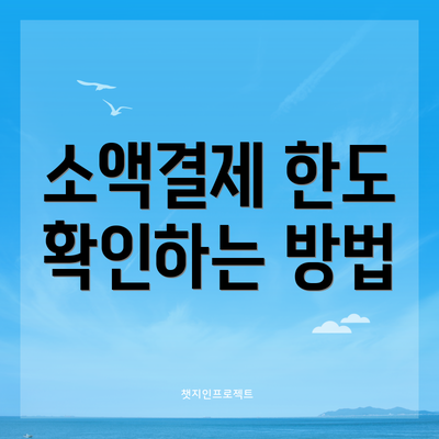 소액결제 한도 확인하는 방법