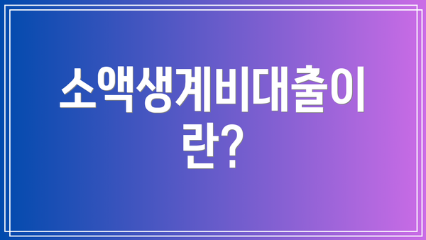 소액생계비대출이란?
