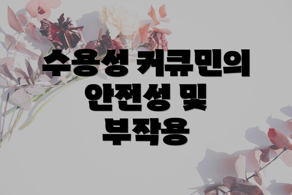 수용성 커큐민의 안전성 및 부작용