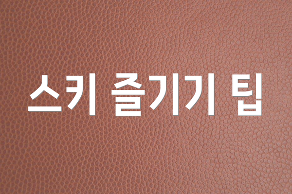 스키 즐기기 팁