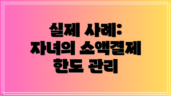 실제 사례: 자녀의 소액결제 한도 관리