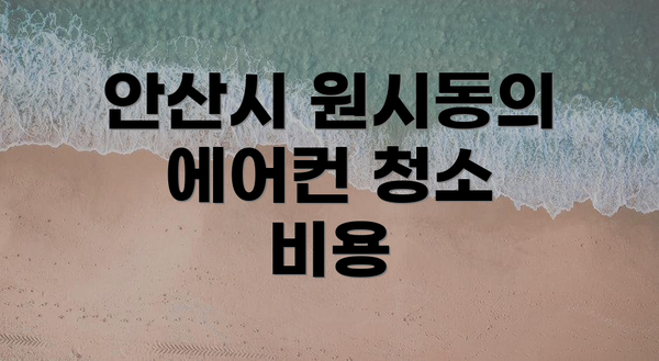 안산시 원시동의 에어컨 청소 비용
