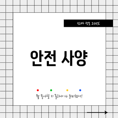 안전 사양