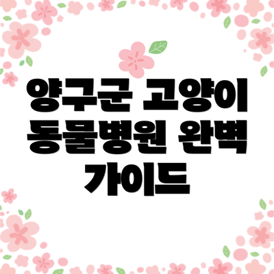 양구군 고양이 동물병원 완벽 가이드