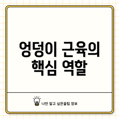 엉덩이 근육의 핵심 역할
