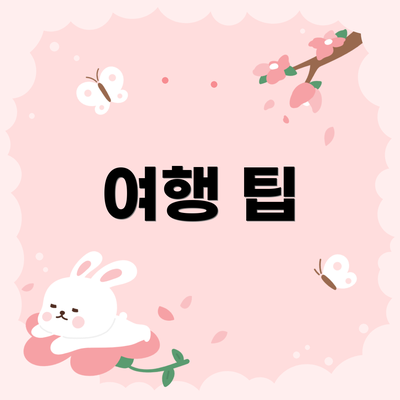 여행 팁