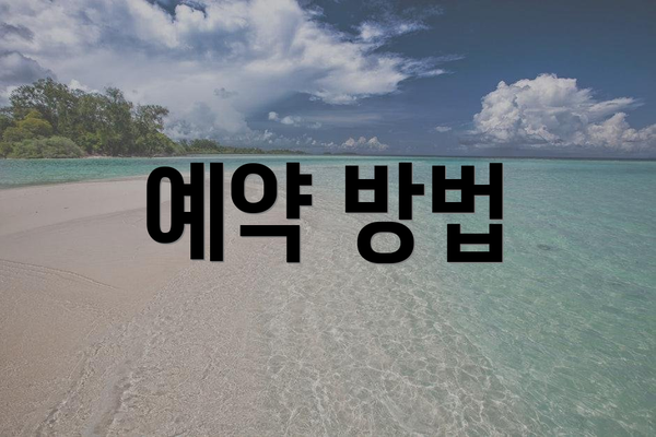 예약 방법