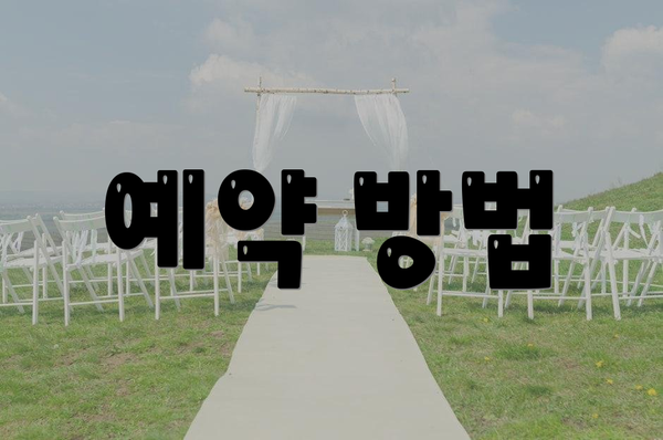 예약 방법