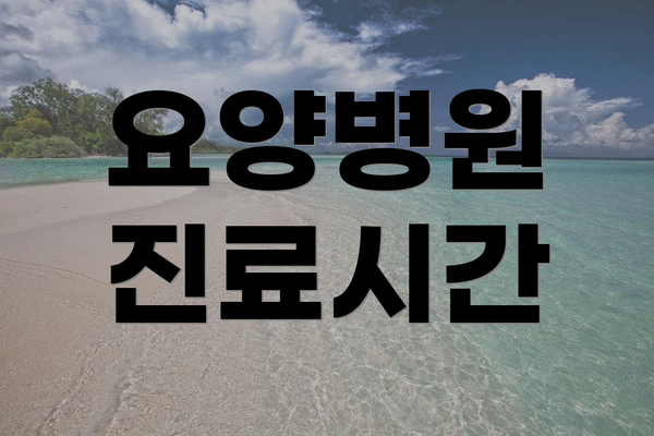 요양병원 진료시간