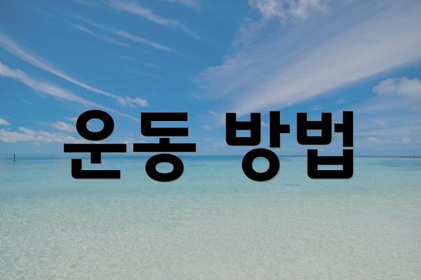 운동 방법