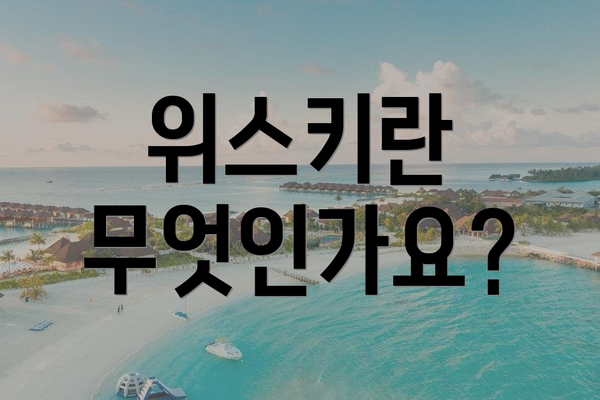 위스키란 무엇인가요?