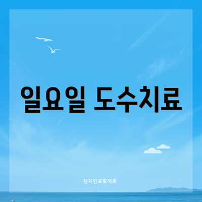 일요일 도수치료