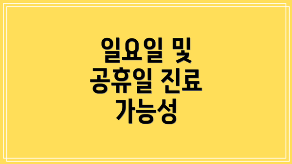일요일 및 공휴일 진료 가능성