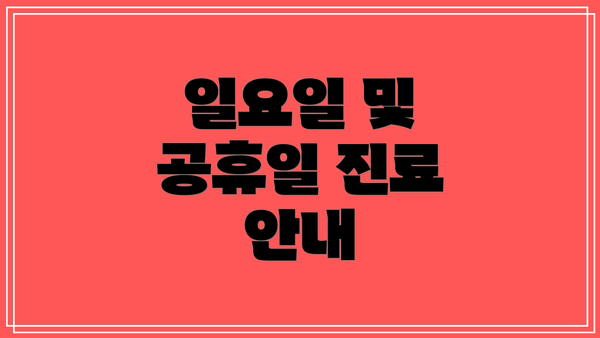 일요일 및 공휴일 진료 안내