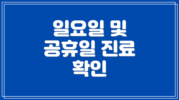 일요일 및 공휴일 진료 확인