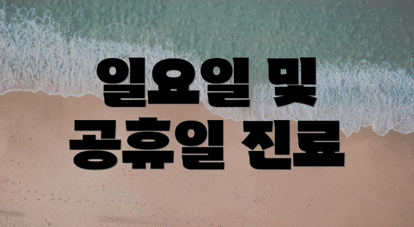 일요일 및 공휴일 진료