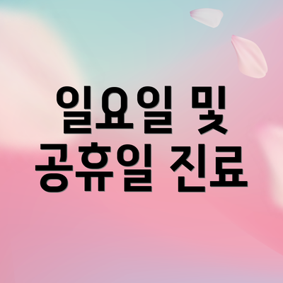일요일 및 공휴일 진료