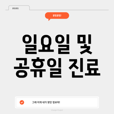 일요일 및 공휴일 진료