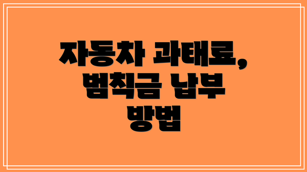 자동차 과태료, 범칙금 납부 방법