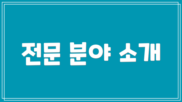 전문 분야 소개