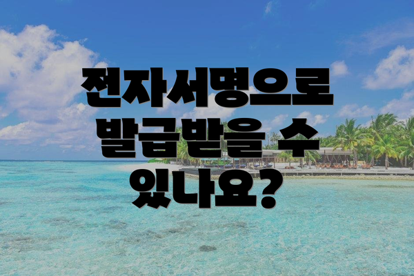 전자서명으로 발급받을 수 있나요?