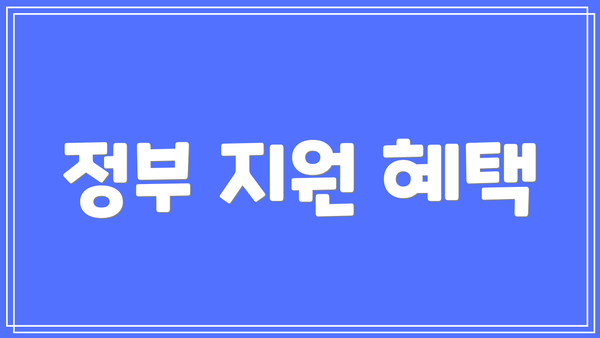 정부 지원 혜택