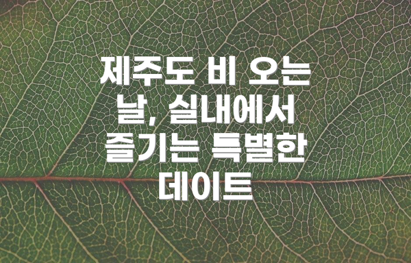 제주도 비 오는 날, 실내에서 즐기는 특별한 데이트