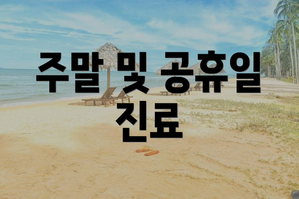 주말 및 공휴일 진료