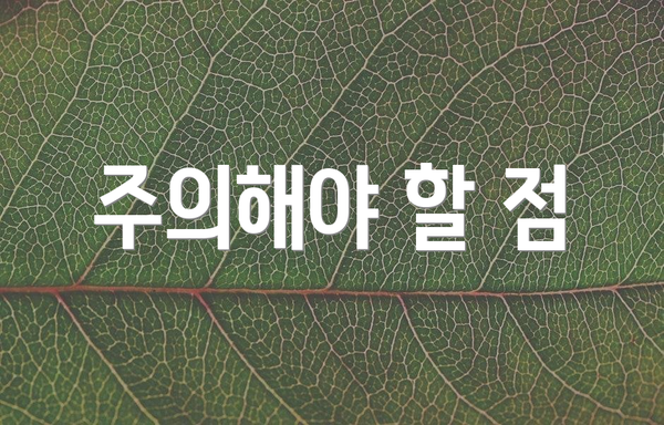 주의해야 할 점
