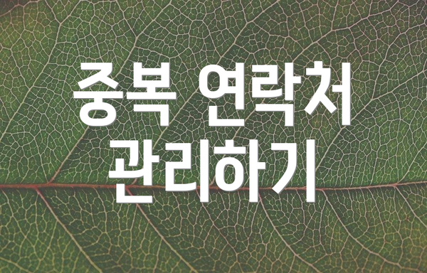 중복 연락처 관리하기