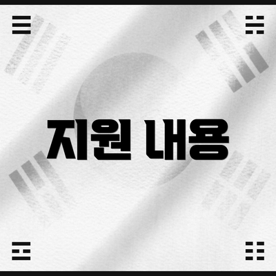 지원 내용