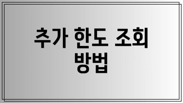 추가 한도 조회 방법