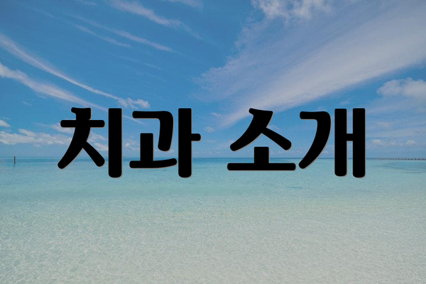 치과 소개