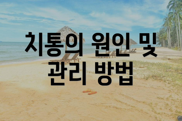 치통의 원인 및 관리 방법