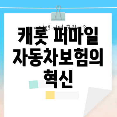 캐롯 퍼마일 자동차보험의 혁신
