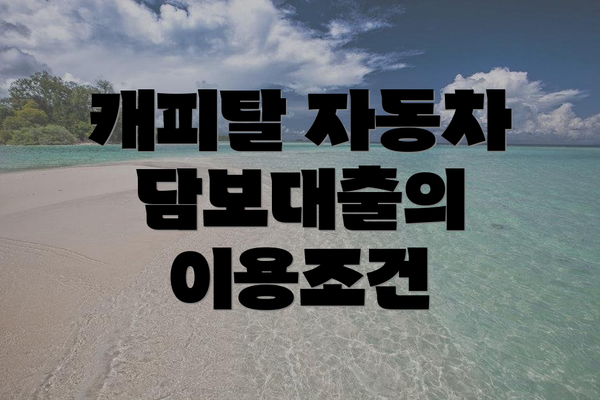 캐피탈 자동차 담보대출의 이용조건