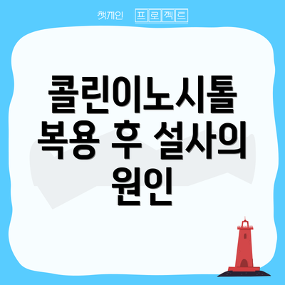 콜린이노시톨 복용 후 설사의 원인